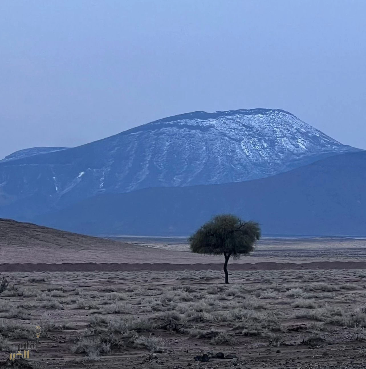 تساقط الثلوج يكسو أجواء حائل والمجمعة والغاط وسط موجة برد شديدة