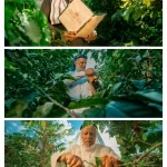 الشركة السعودية للقهوة تطلق النسخة الثالثة من مسابقة محصول التميز السعودي