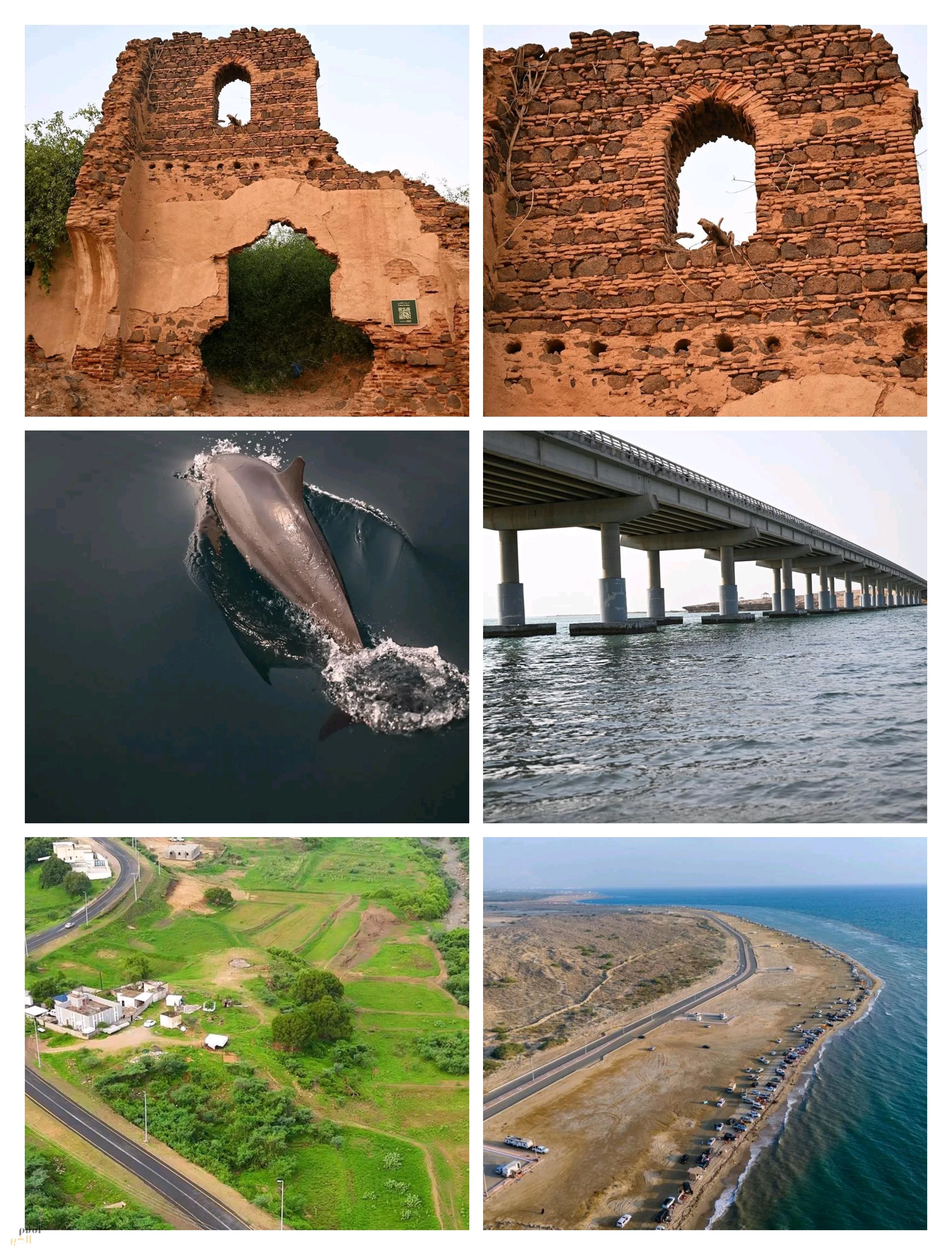 جازان تعزز مكانتها على خارطة الاستثمار