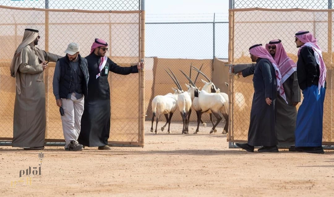 إطلاق أكثر من 60 كائنًا فطريًا في محمية الملك خالد الملكية