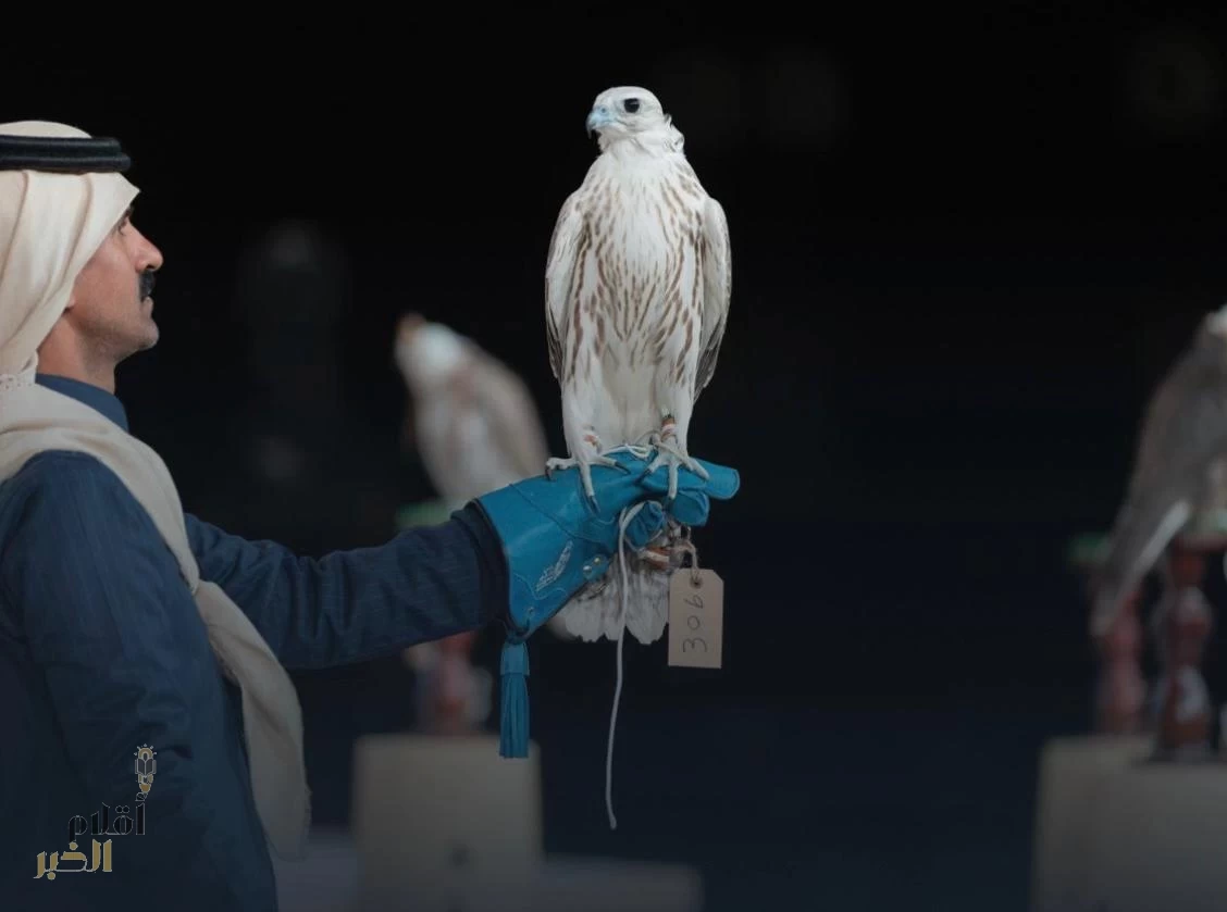 "مزايين الصقور " تختتم ثاني أيامها ب3 أشواط في مهرجان الملك عبد العزيز للصقور 2025