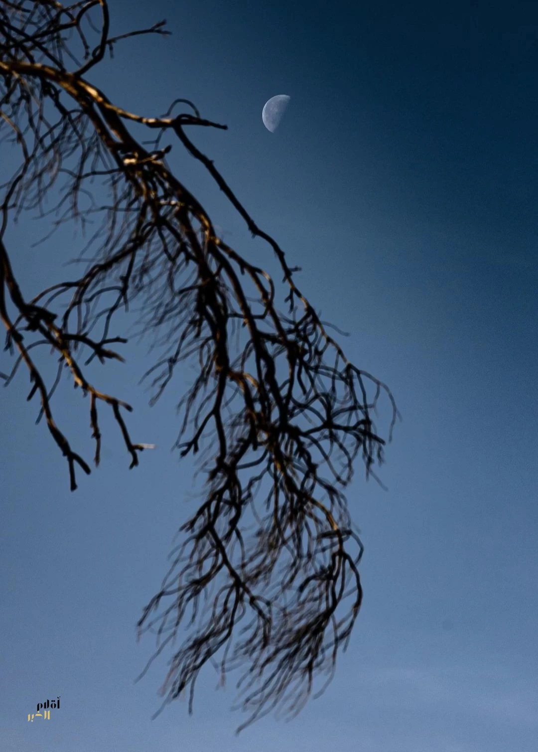 رصد التربيع الأخير لقمر شهر شعبان في سماء الحدود الشمالية