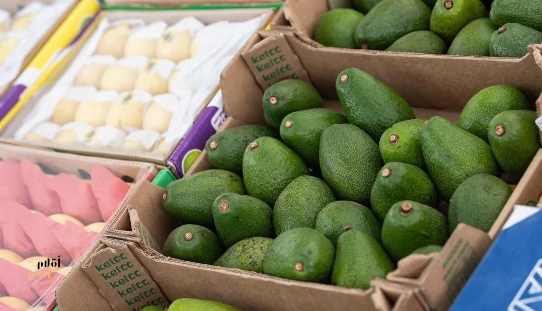 "البيئة" تنفذ 6,281 جولة رقابية على أسواق النفع العام والمسالخ لضمان الجاهزية التشغيلية بشهر رمضان