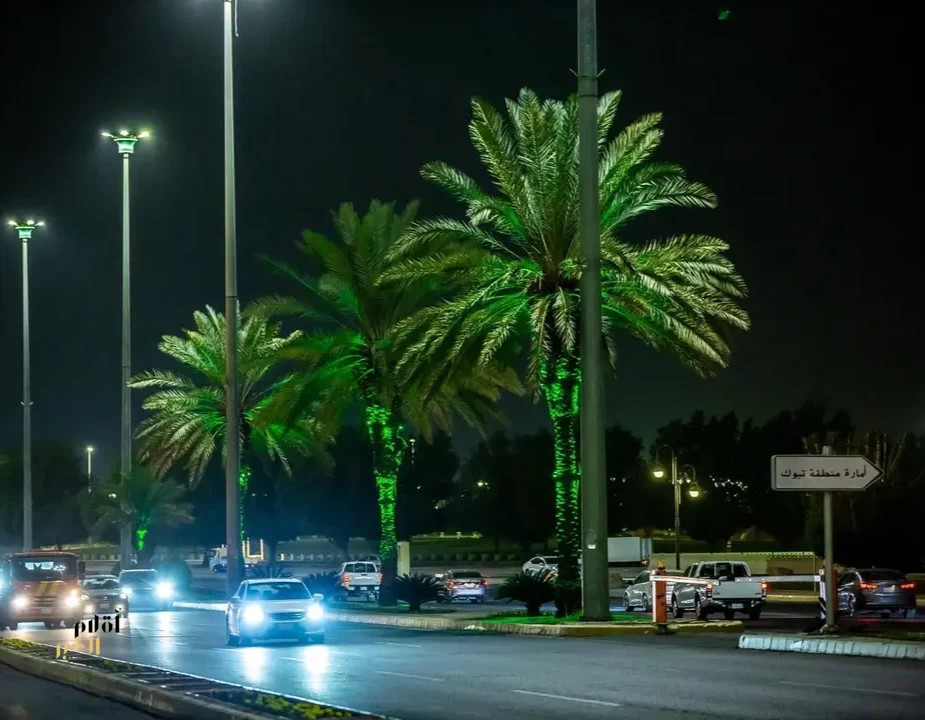 23 فعالية وطنية وثقافية ضمن احتفاء أمانة تبوك بيوم التأسيس