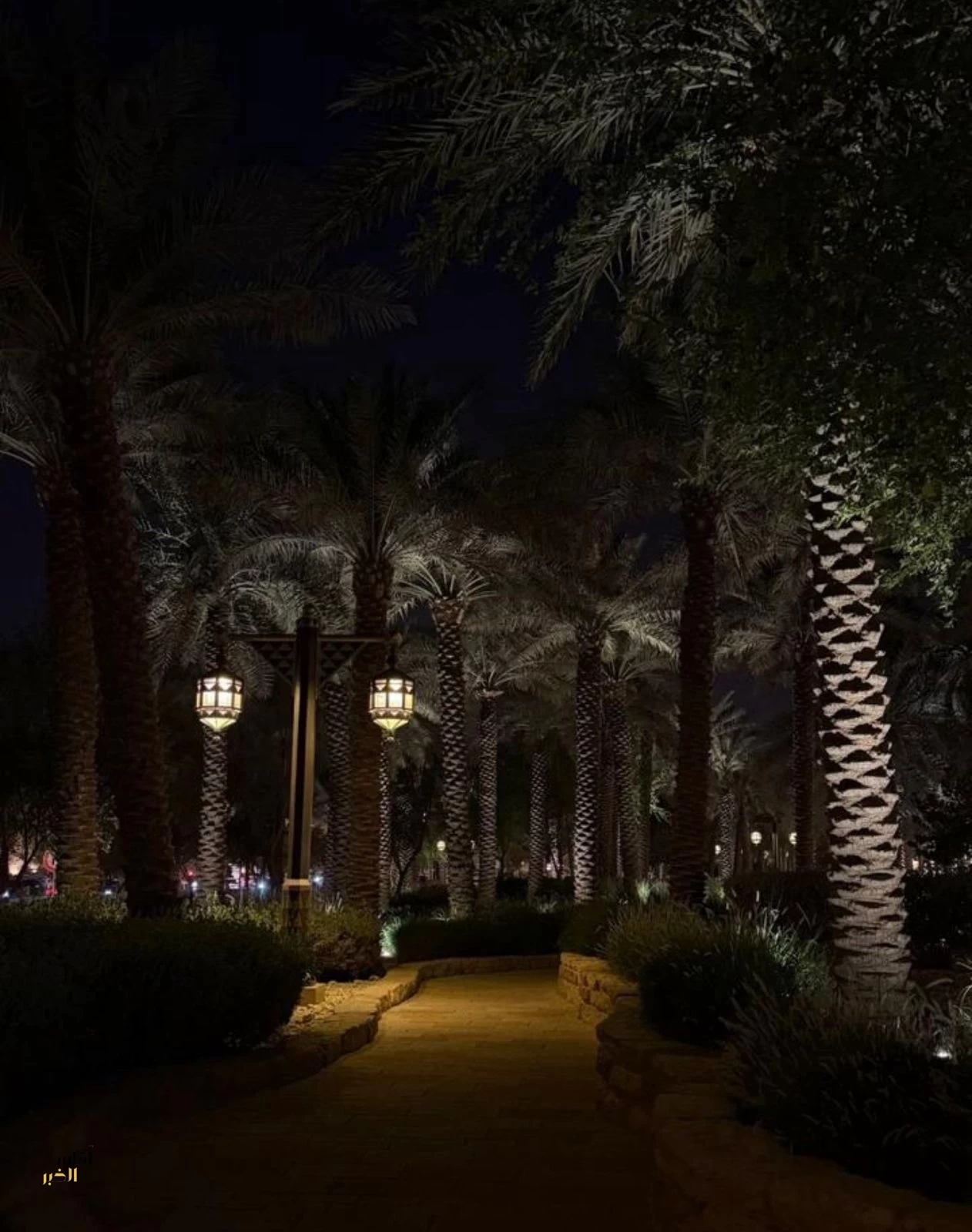 ‏" ليالي الدرعية " بين النخيل والأمسيات والعروض والتراث