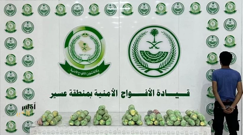 دوريات الأفواج الأمنية بمنطقة عسير تقبض على شخص لترويجه 13 كلجم من القات المخدر