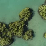 "البحر الأحمر الدولية" تنال شهادة "إيرث تشيك" العالمية للاستدامة