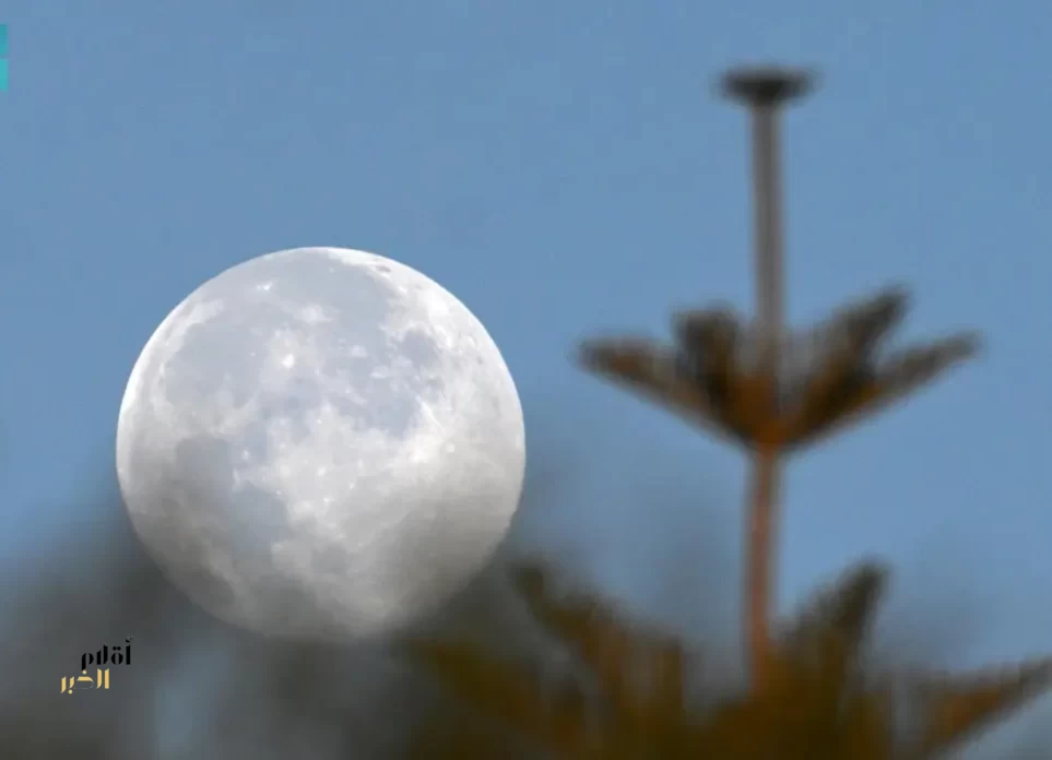 "بدر الفراشة" يزيّن سماء المملكة
