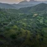 انطلاق فعاليات أسبوع البيئة السعودي 2026 في مايو المقبل