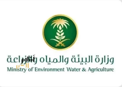 وفرة وتنوع في المنتجات البحرية بسوق الأسماك بالمدينة المنورة