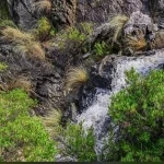 أمطار على منطقة الباحة 