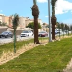 أمانة الشرقية: زراعة 3.3 ملايين شجرة وإصلاح 79 ألف م² من حُفر الطرق خلال الربع الأول من 2026