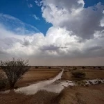 أمطار الخير ترسم مشاهد طبيعية متجددة في أودية عشيرة شمال الطائف