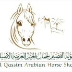 انطلاق بطولة القصيم لجمال الخيل العربية الأصيلة غدًا