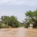 أمطار الخير ترسم مشاهد طبيعية ريفية في أودية وشعاب الأسياح شمال شرق القصيم