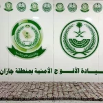 دوريات الأفواج الأمنية بمنطقة جازان تحبط تهريب 74,250 قرصًا خاضعًا لتنظيم التداول الطبي