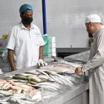 موسم "الكنّة" في جازان.. وفرة الأسماك تُنعش الأسواق وتُعزّز مهنة الصيد