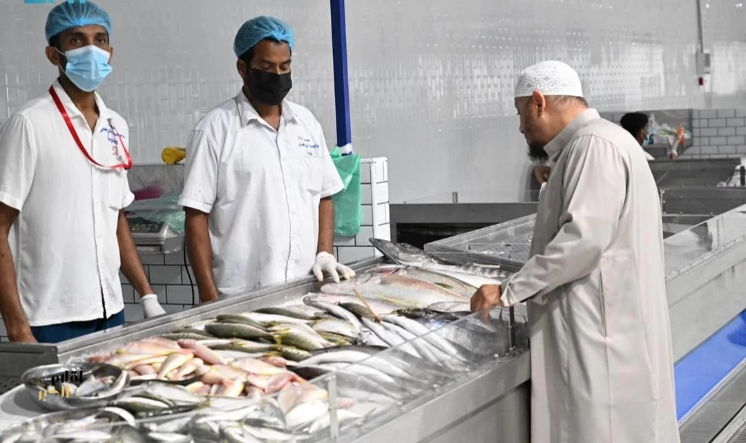 موسم "الكنّة" في جازان.. وفرة الأسماك تُنعش الأسواق وتُعزّز مهنة الصيد