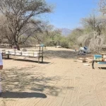 ‏بيئة العرضيات تنفّذ جولات رقابيّة لتعزيز جودة العسل واستدامة تربيّة النحل