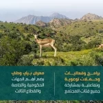 انطلاق فعاليات أسبوع البيئة 2026 في جميع مناطق المملكة غدًا الأحد