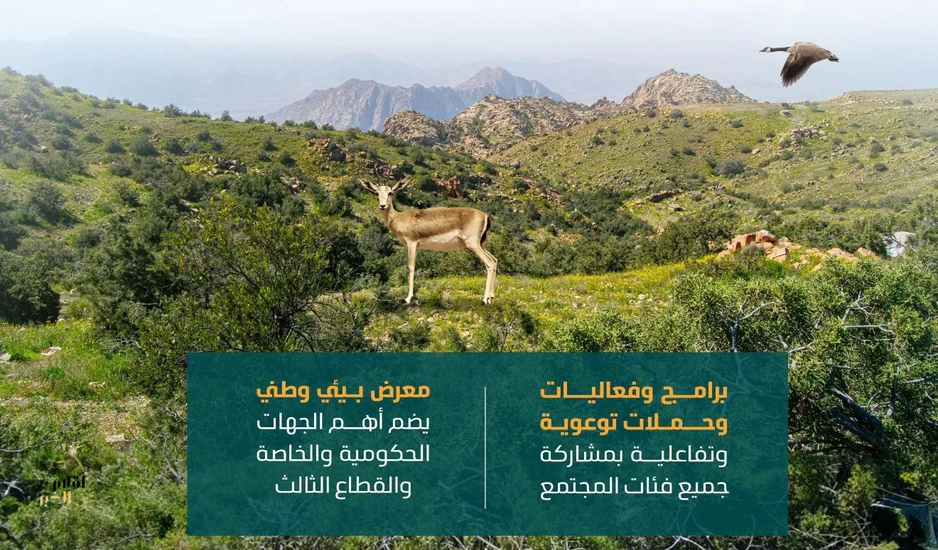 انطلاق فعاليات أسبوع البيئة 2026 في جميع مناطق المملكة غدًا الأحد