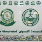 دوريات الأفواج الأمنية بمنطقة عسير تقبض على 3 مخالفين لنظام أمن الحدود لتهريبهم 27 كلجم من القات المخدر