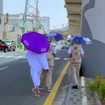 لقطة اليوم
