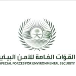 "الأمن البيئي" يضبط مقيمًا لتلويثه البيئة بتفريغ مواد خرسانية في منطقة عسير