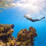 الغوص في البحر الأحمر.. تجربة استثنائيّة بين الشعاب المرجانيّة والجزر البكر