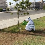 بيئة القنفذة ينفّذ عدداً من الفرص التطوعيّة البيئيّة لتعزيز الوعي والمحافظة على البيئة