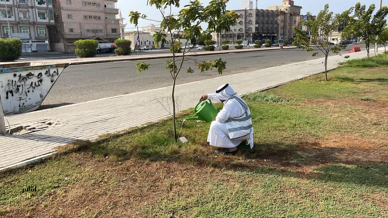 بيئة القنفذة ينفّذ عدداً من الفرص التطوعيّة البيئيّة لتعزيز الوعي والمحافظة على البيئة