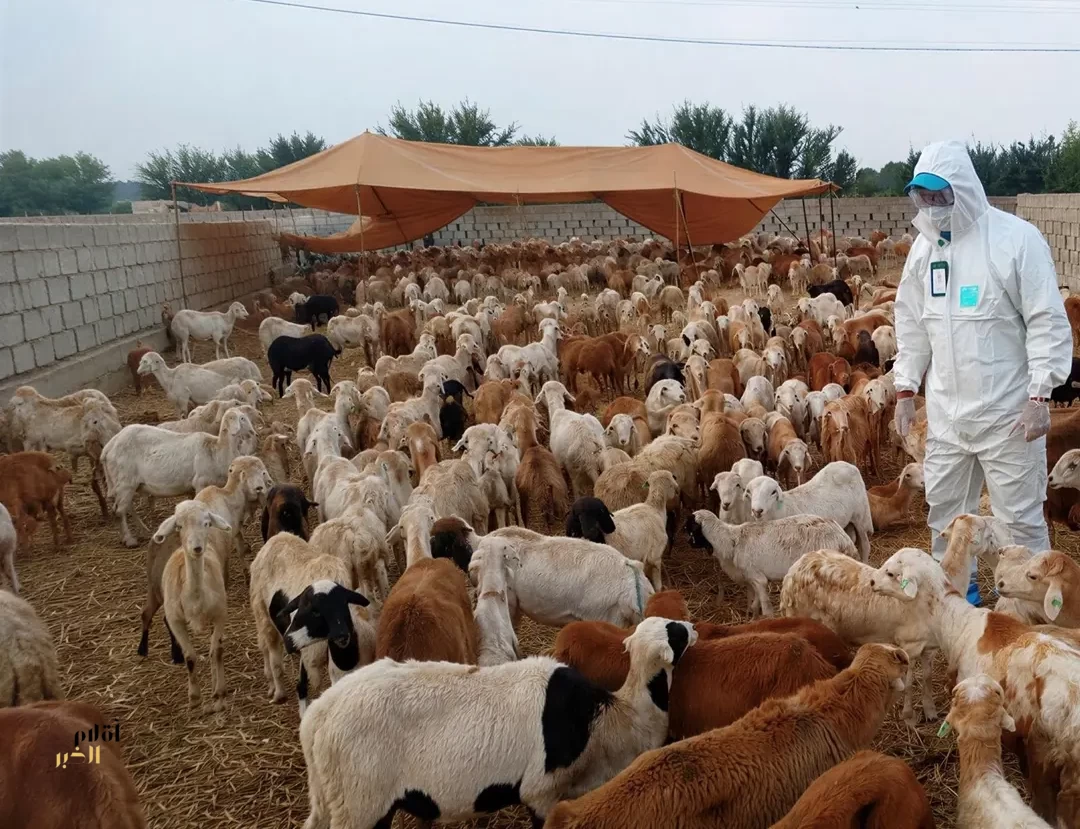 "وقاء" يؤكد أهمية الوقاية والوعي في تعزيز السلامة والصحة العامة