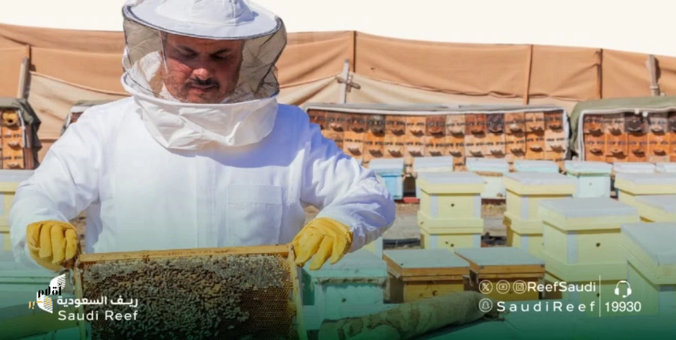 "ريف السعودية" يُعلن اكتمال إنشاء 11 مشروعًا تنمويًا لدعم وتطوير قطاع العسل وتربية النحل بأكثر من 70 مليون ريال