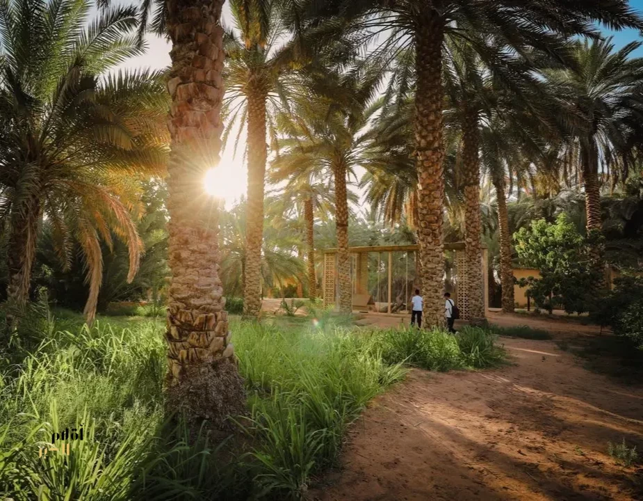 الهيئة الملكية لمحافظة العُلا تطلق موسم "خيرات العُلا"