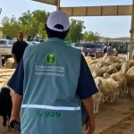 "بيئة مكة" تكثف الرقابة على أسواق الماشية لتعزيز سلامة المعروض والأمن الغذائي