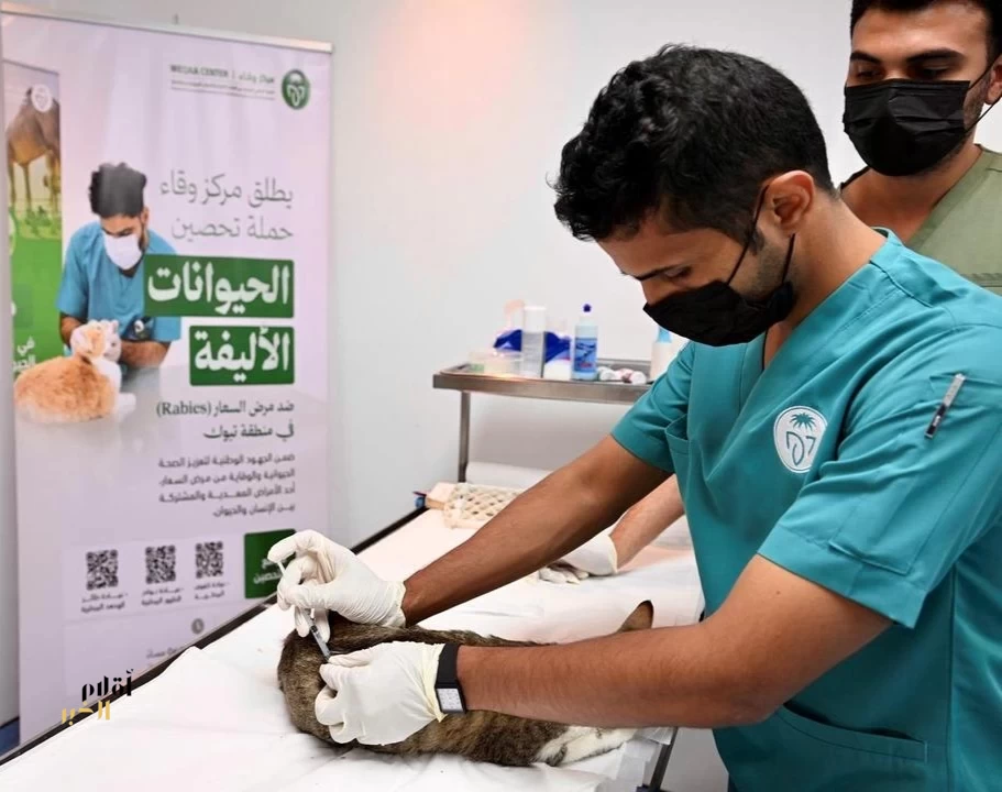 "وقاء" تبوك يطلق حملة لتحصين الحيوانات الأليفة ضد السعار