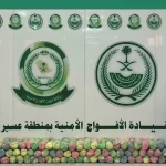 دوريات الأفواج الأمنية بمنطقة عسير تقبض على شخصَيْن لترويجهما 77 كلجم من القات المخدر