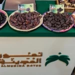 قطاع التمور بالمدينة المنورة يسجل أكثر من 8.1 ملايين نخلة تمثل 21.6% من إجمالي نخيل المملكة
