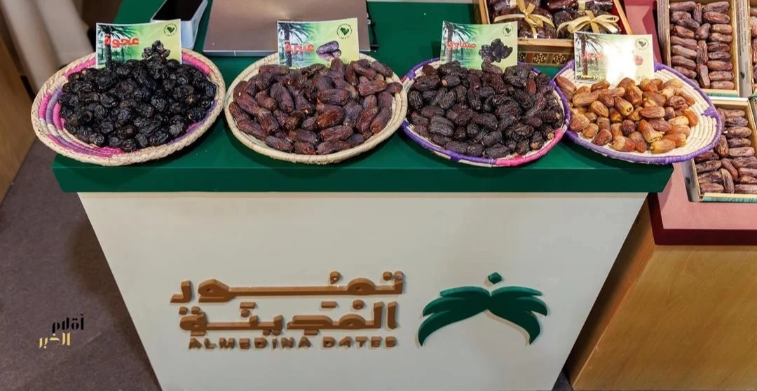 قطاع التمور بالمدينة المنورة يسجل أكثر من 8.1 ملايين نخلة تمثل 21.6% من إجمالي نخيل المملكة