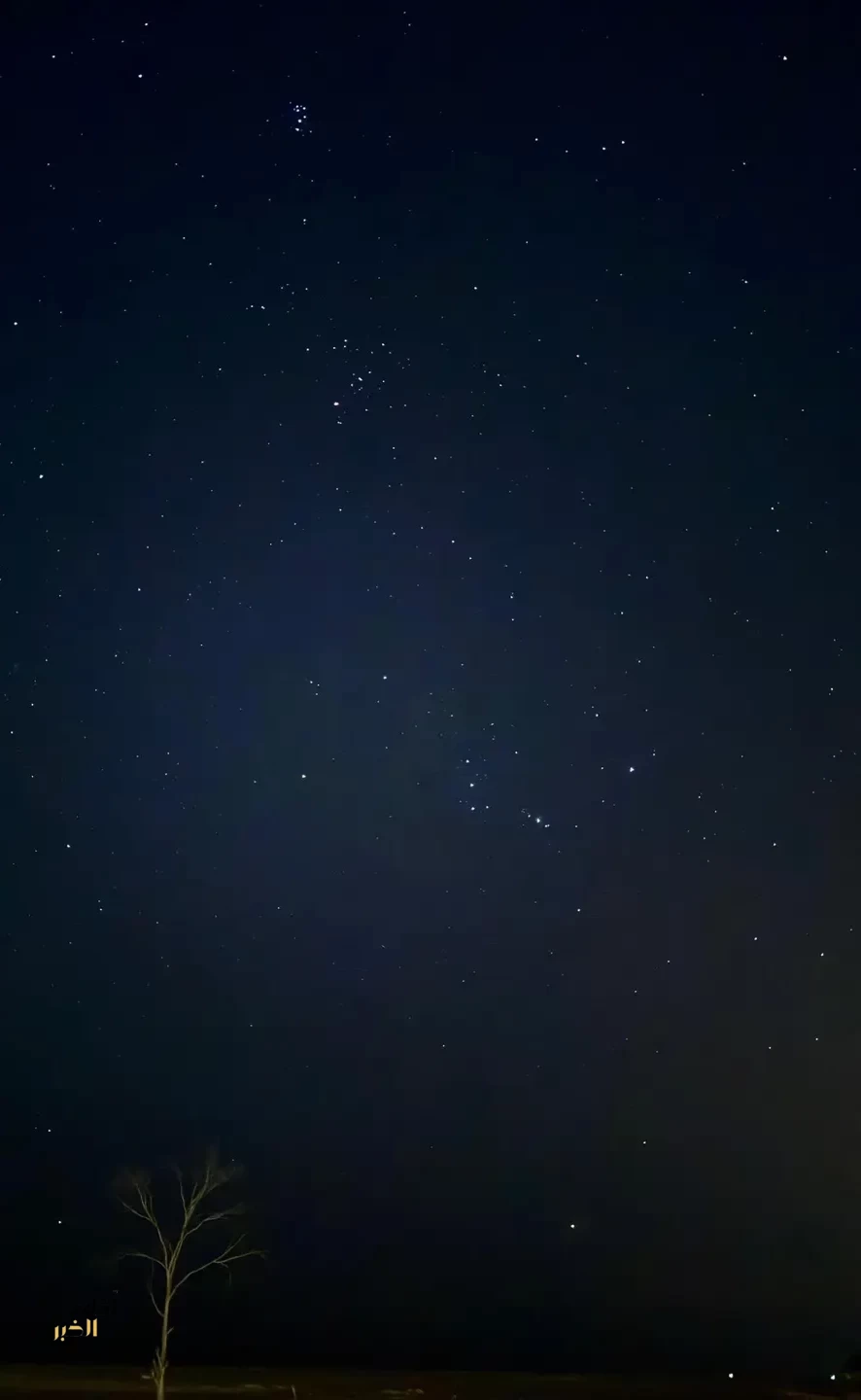 رصد الشروق الاحتراقي لنجم الشِّعْرَى في سماء رفحاء