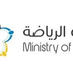 وزارة الرياضة تطلق النسخة الجديدة من استراتيجية دعم الأندية للموسم 2026-2027
