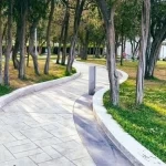 أشجار العرعر ومشروعات التطوير بالباحة تعززان جاذبية متنزه رغدان سياحيًا