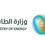 وزارة الطاقة تنفذ 9,263 زيارة رقابية وترصد 964 مخالفة خلال شهر يوليو 2026