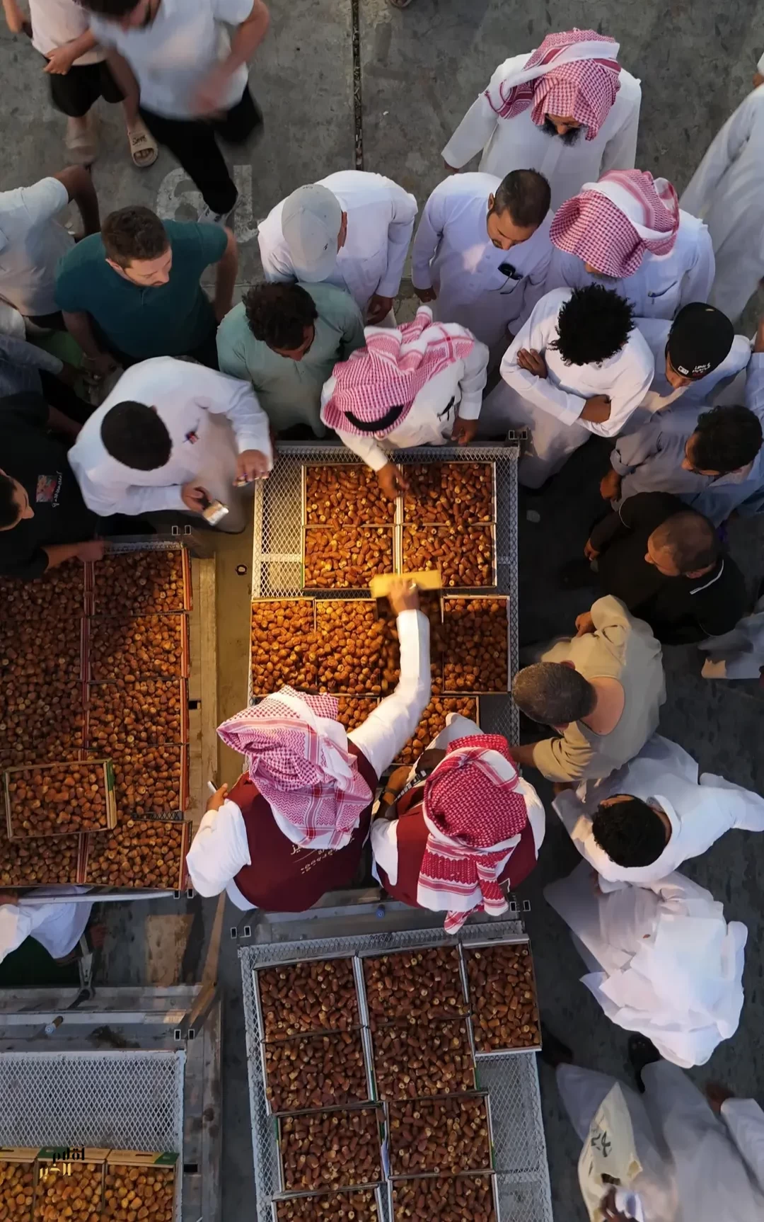 "نقوة عنيزة".. منظومة تسويقية للتمور تصل إلى (65) دولة حول العالم