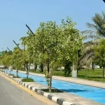 أمانة الشرقية تعزز الغطاء النباتي في محافظة رأس تنورة بتطوير أكثر من 30 ألف م2 من المسطحات الخضراء