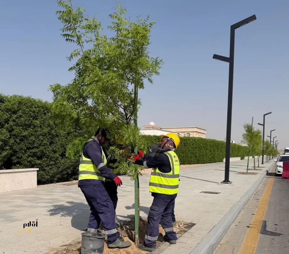 أكثر من 5 آلاف شجرة تعزز الغطاء النباتي وجودة الحياة في بقيق