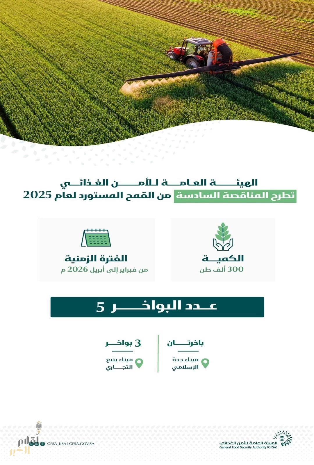 الهيئة العامة للأمن الغذائي تطرح المناقصة السادسة لهذا العام لاستيراد 300 ألف طن قمح