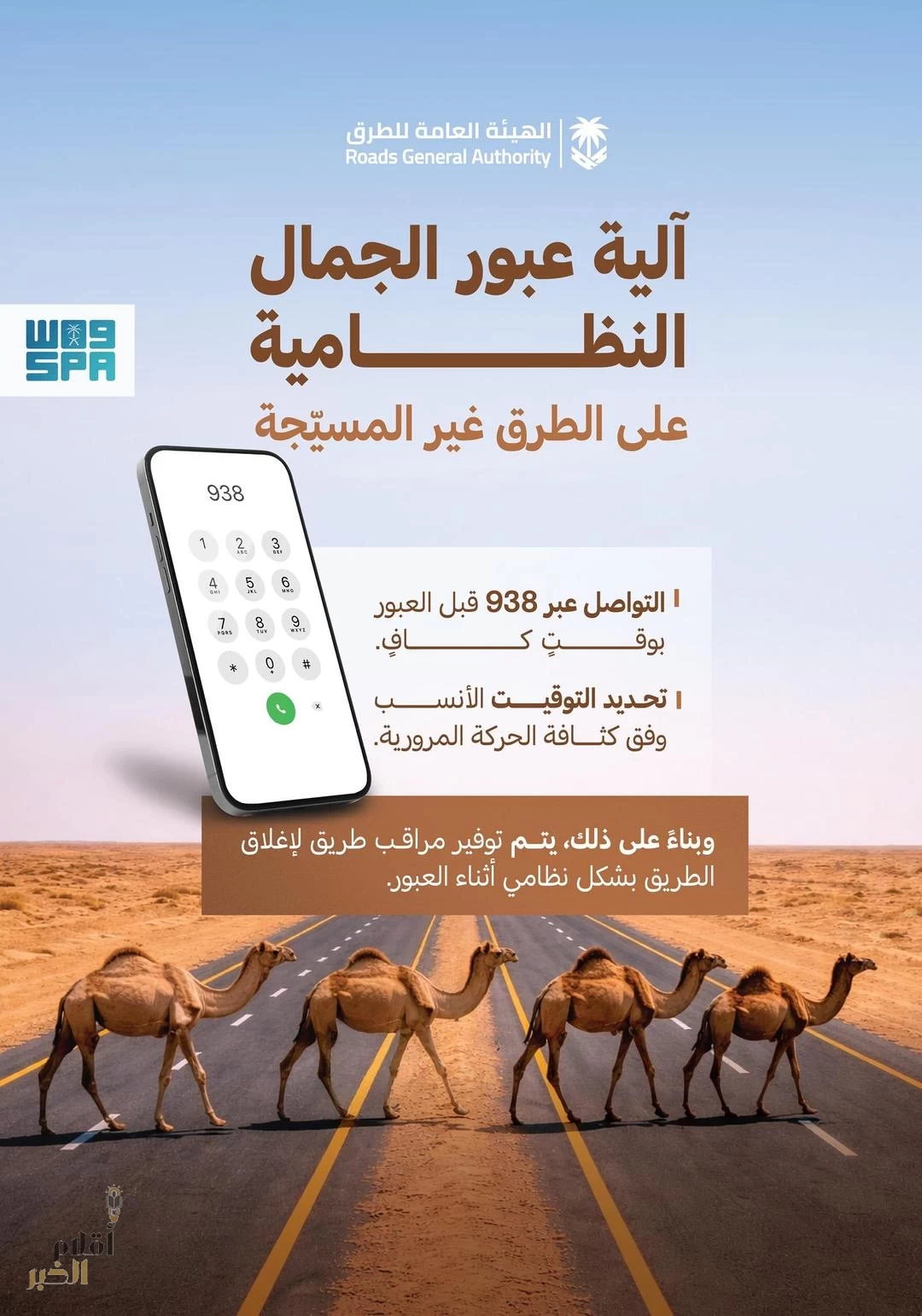 "هيئة الطرق" توصي مُلَّاك الإبل بتنسيق عبور الطرق غير المسيجة عبر مركز الاتصال 938