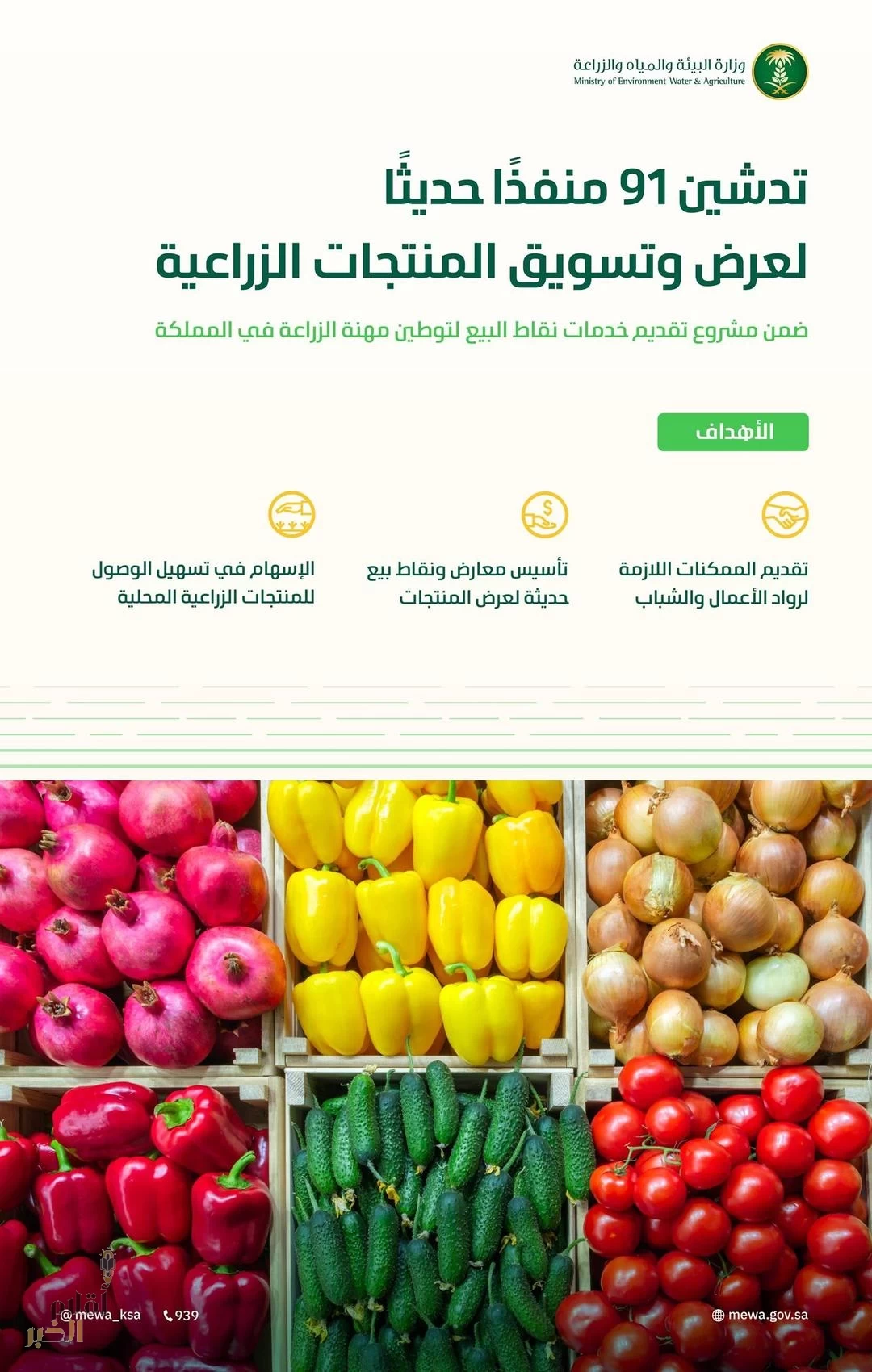 "البيئة" تدشن 91 منفذًا حديثًا لرواد الأعمال لعرض وتسويق المنتجات الزراعية