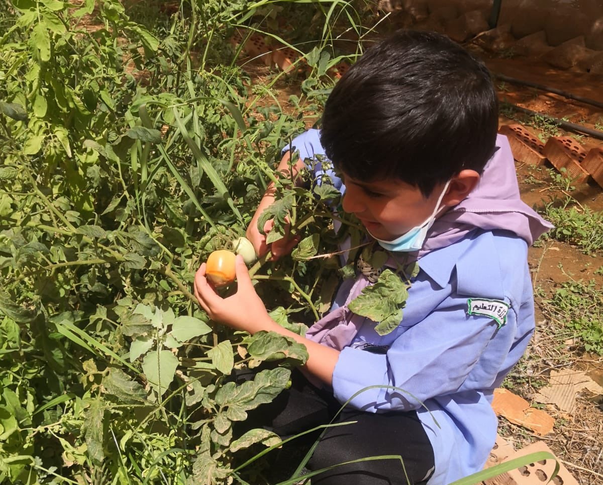 جمعية الكشافة تُشارك في اليوم العالمي للبيئة